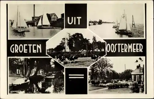 Ak Oostermeer Friesland Niederlande, Segelboote, Hafen, Kühe