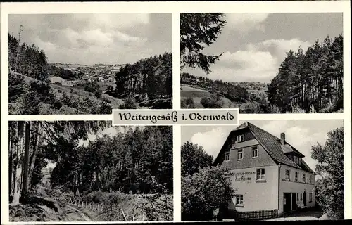 Ak Weiten Gesäß Weitengesäß Michelstadt im Odenwald, Ort mit Umgebung, Waldpartie