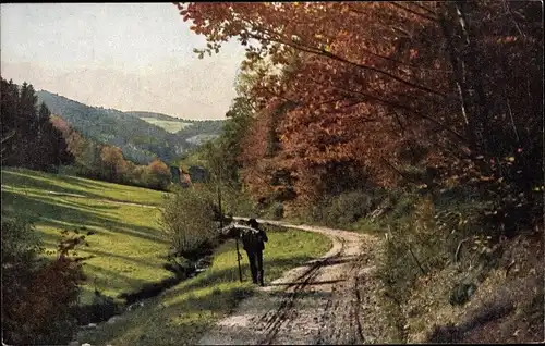 Ak Niederwasser Hornberg im Schwarzwald, Forstweg, Schwarzwaldtal