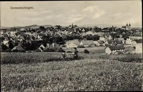 Ak Donaueschingen im Schwarzwald, Gesamtansicht