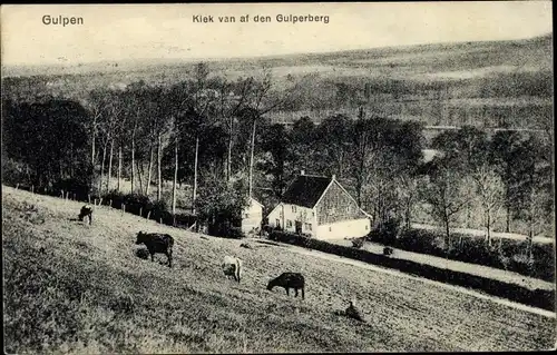 Ak Gulpen Limburg Niederlande, Kiek van af den Gulperberg, Kuhweide