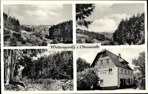 Ak Weiten Gesäß Weitengesäß Michelstadt im Odenwald, Ort mit Umgebung, Waldpartie, Gasthof z. Krone