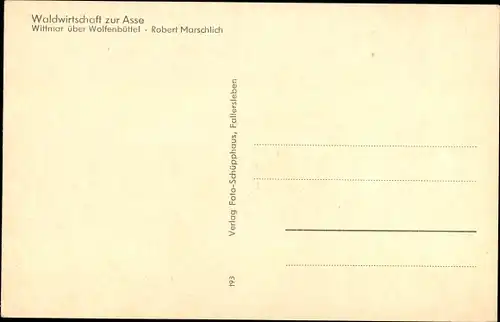 Ak Wittmar in Niedersachsen, Waldwirtschaft zur Asse, Bismarcksäule, Burgruinen