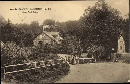 Ak Tetzelstein Elm Schöppenstedt Niedersachsen, Waldwirtschaft