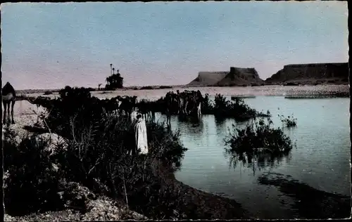 Ak Marokko, Scenes et Types, Chameaux a l'Abreuvoir, Kamele, Maghreb