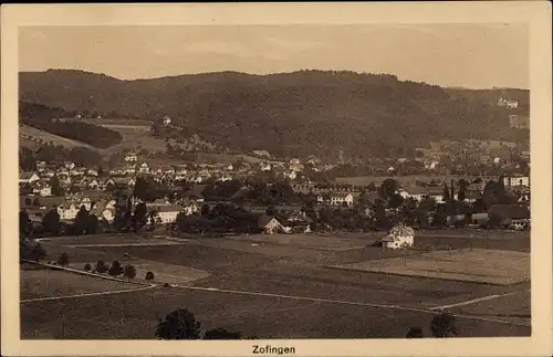 Ak Zofingen Kanton Aargau, Ortsansicht, Panorama