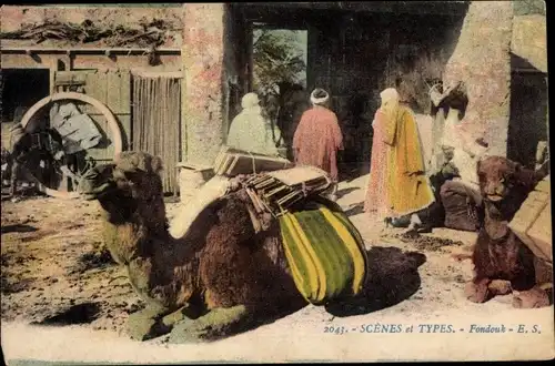 Ak Scenes et Types, Foudouk, Araber, Kamele, Maghreb