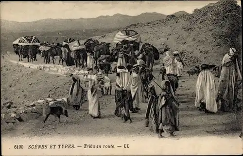 Ak Scenes et Types, Tribu en route, Araber, Karawane, Kamele, Maghreb