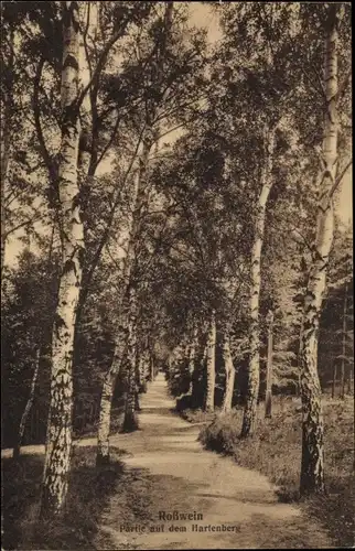 Ak Roßwein im Mittelsächsischen Bergland, Partie auf dem Hartenberg