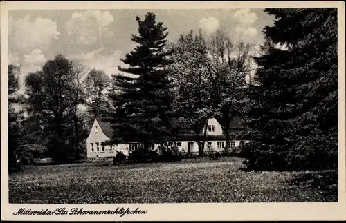 Ak Mittweida in Sachsen, Schwanenschlösschen