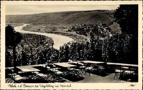 Ak Vogelsburg Volkach in Unterfranken, Blick von der Terrasse ins Maintal