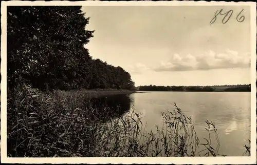 Ak Barlinek Berlinchen Neumark Ostbrandenburg, Am See