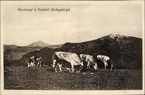 Ak Gersfeld in der Rhön Hessen, Pferdskopf, grasende Rinder