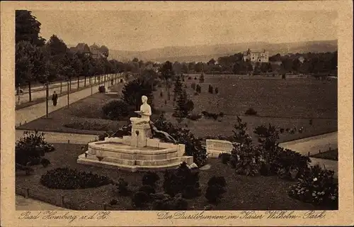 Ak Bad Homburg vor der Höhe Hessen, Durstbrunnen, Kaiser Wilhelm Park