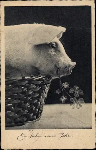 Ak Glückwunsch Neujahr, Schwein mit Kleeblättern im Weidenkorb
