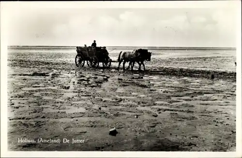 Ak Hollum Ameland Friesland Niederlande, De Jutter, Pferdefuhrwerk auf dem Watt