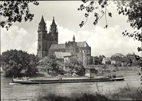 Ak Magdeburg an der Elbe, Dom, Elbpartie, Lastkahn