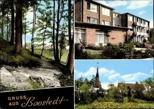 Ak Boostedt in Holstein, Waldpartie, Wohnhaus, Teilansicht der Kirche