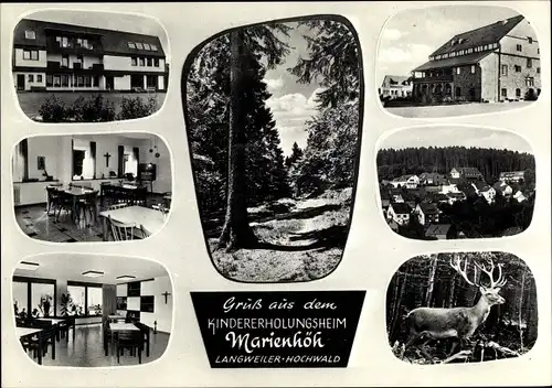 Ak Langweiler bei Idar-Oberstein, Sensweiler im Hunsrück, Kinder Erholungsheim Marienhöh, Hirsch
