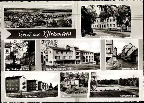 Ak Birkenfeld an der Nahe, Museum, Apotheker Brunnen, Sanatorium, Schwimmbad, Malwiese, Gymnasium