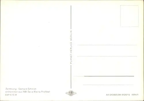 Künstler Ak Schmidt, Gerhard, Maronen Röhrling, NBI Kleine Pilzfibel