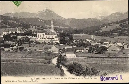 Ak Châtel Saint Denis Kanton Freiburg, le Moléson et la Dent de Lys