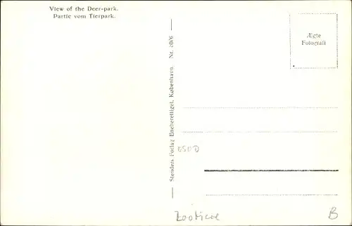 Ak København Kopenhagen Dänemark, Parti fra Dyrehaven, Hirschpark