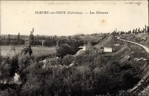 Ak Fleury sur Orne Calvados, Les Coteaux