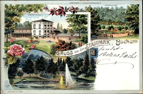 Künstler Litho Schäfer, K., Bochum im Ruhrgebiet, Stadtpark, Teich, Milchkuranstalt, Wolfsschlucht