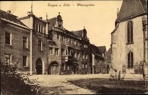 Ak Torgau an der Elbe, Wintergrüne