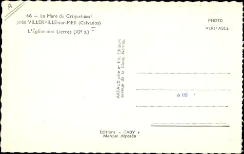 Ak Criqueboeuf Calvados, La Mare, l' Église aux Lierres