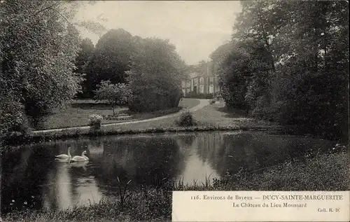 Ak Ducy Sainte Marguerite Calvados, Le Chateau du Lieu Moussard, Schwäne