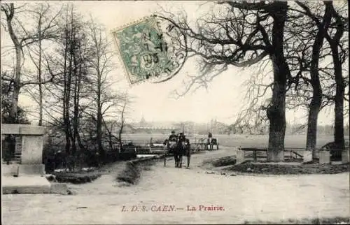 Ak Caen Calvados, La Prairie
