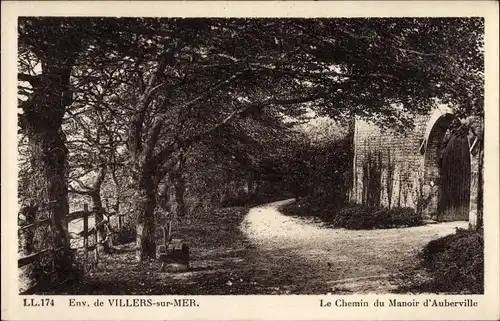 Ak Auberville Calvados, Le Chemin du Manoir d'Auberville