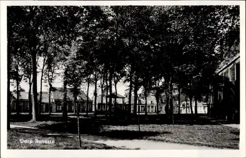 Ak Renesse Schouwen-Duiveland Zeeland, Dorp, Bäume, Häuser