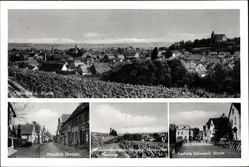 Ak Osthofen in Rheinhessen, Gesamtansicht, Friedrich Eberstr., Weinberganlagen