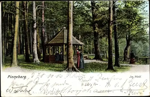 Ak Pinneberg in Schleswig Holstein, Partie im Wald, Pavillon