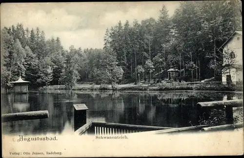 Ak Liegau Augustusbad Radeberg in Sachsen, Schwanenteich