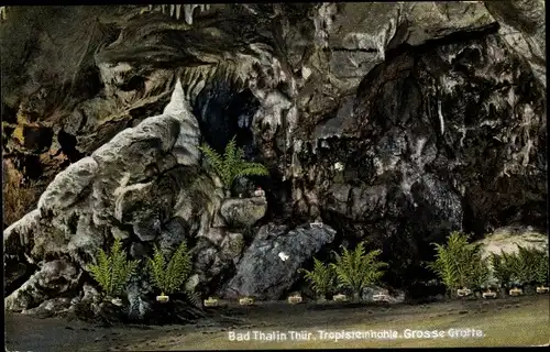 Ak Bad Thal Ruhla Thüringer Wald, Innenansicht der Tropfsteinhöhle, Farne