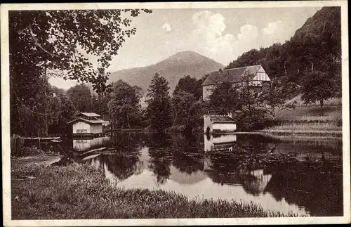 Ak Schönau in der Pfalz, Königsweiher