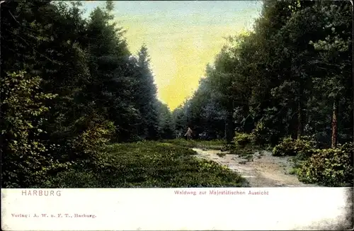 Ak Hamburg Harburg, Waldweg zur Majestätischen Aussicht, Dämmerung