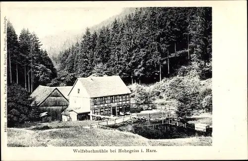 Ak Hohegeiß Braunlage im Oberharz, Wolfsbachmühle, Wald