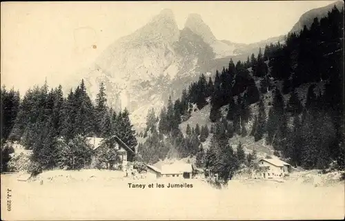 Ak Taney Monthey Kanton Wallis Schweiz, les Jumelles, Bergpanorama