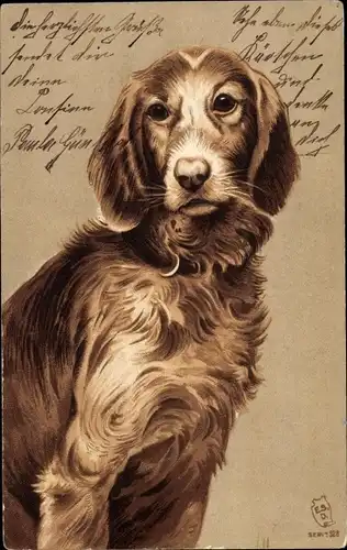 Präge Litho Hundeportrait, brauner Hund