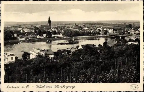 Ak Krosno Odrzańskie Crossen Oder Ostbrandenburg, Blick vom Weinbergweg