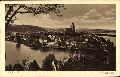 Ak Mölln im Herzogtum Lauenburg, Panorama