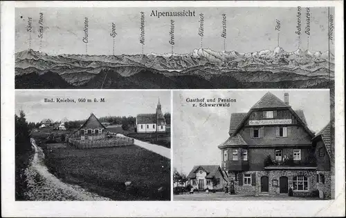 Ak Kniebis Freudenstadt im Nordschwarzwald, Gasthof und Pension Zum Schwarzwald, Alpenaussicht