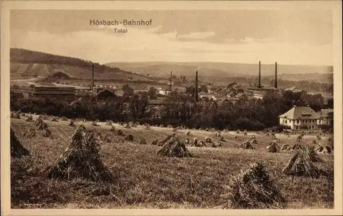 Ak Hösbach in Unterfranken Bayern, Bahnhof, Totalansicht von Ort