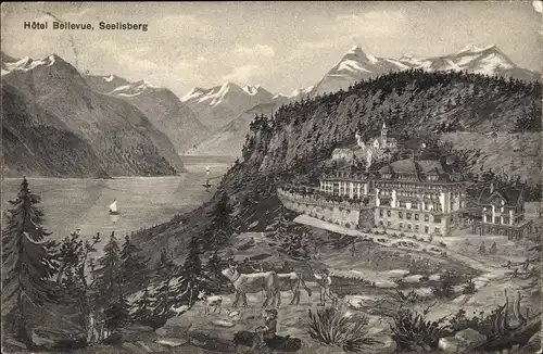 Ak Seelisberg Kanton Uri, Hotel Seelisberg, Panorama