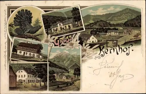 Litho Kernhof Niederösterreich, Restaurant, Gasthaus, Teilansichten, Bahnhof